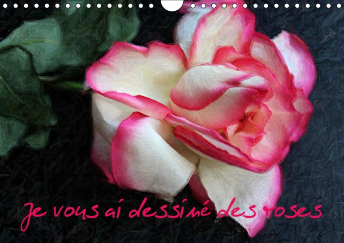 JE VOUS AI DESSINE DES ROSES (CALENDRIER MURAL 2019 DIN A4 HORIZONTAL) - CALENDRIER DE PHOTOS INEDIT