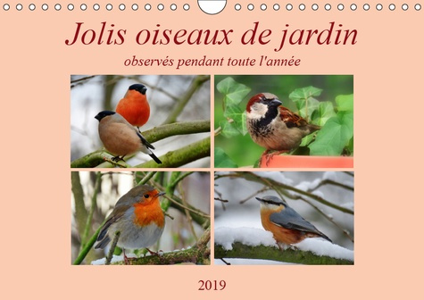 JOLIS OISEAUX DE JARDIN (CALENDRIER MURAL 2019 DIN A4 HORIZONTAL) - OBSERVES PENDANT TOUTE L'ANNEE..