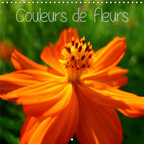 COULEURS DE FLEURS (CALENDRIER MURAL 2019 300 * 300 MM SQUARE) - LES FLEURS NOUS MONTRENT COMME LA N