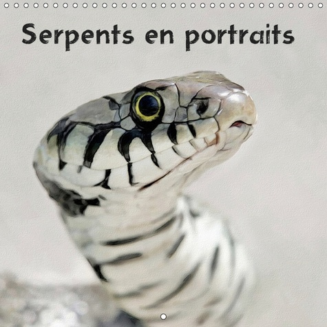 SERPENTS EN PORTRAITS (CALENDRIER MURAL 2019 300 * 300 MM SQUARE) - 12 CREATIONS ORIGINALES DE PORTR
