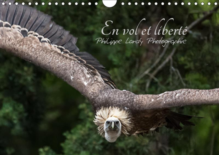 EN VOL ET LIBERTE (CALENDRIER MURAL 2019 DIN A4 HORIZONTAL) - OISEAUX EN LIBERTE (CALENDRIER MENSUEL