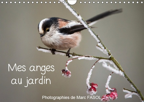 MES ANGES AU JARDIN (CALENDRIER MURAL 2019 DIN A4 HORIZONTAL) - ESPECES COMMUNES DES JARDINS... DU M
