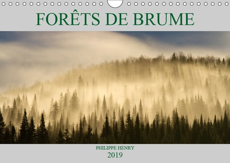 FORETS DE BRUME (CALENDRIER MURAL 2019 DIN A4 HORIZONTAL) - PAYSAGES DE FORETS BAIGNEES DE BRUME. 14