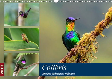 COLIBRIS - PIERRES PRECIEUSES VOLANTES (CALENDRIER MURAL 2019 DIN A3 HORIZONTAL) - LES COLIBRIS DU C