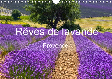 REVES DE LAVANDE - PROVENCE (CALENDRIER MURAL 2019 DIN A4 HORIZONTAL) - CHAMPS DE LAVANDE DE DIFFERE