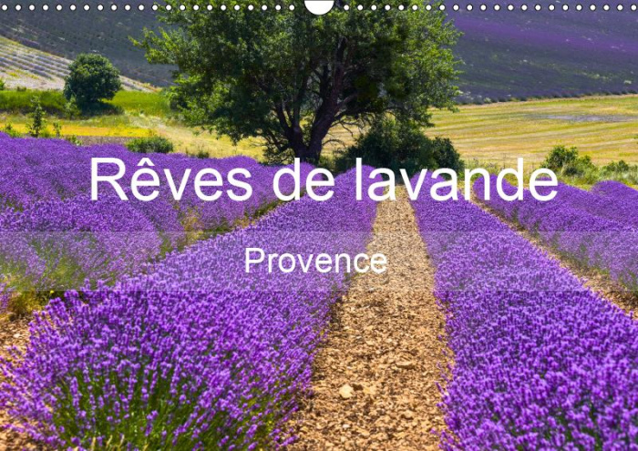REVES DE LAVANDE - PROVENCE (CALENDRIER MURAL 2019 DIN A3 HORIZONTAL) - CHAMPS DE LAVANDE DE DIFFERE