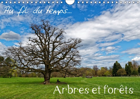 AU FIL DU TEMPS...ARBRES ET FORETS (CALENDRIER MURAL 2019 DIN A4 HORIZONTAL) - ARBRES ET FORETS AU G