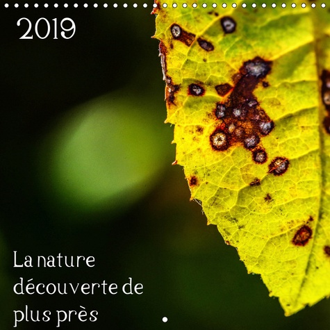 LA NATURE DECOUVERTE DE PLUS PRES (CALENDRIER MURAL 2019 300 * 300 MM SQUARE) - CALENDRIER RETRACANT
