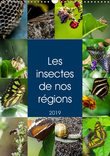 LES INSECTES DE NOS REGIONS (CALENDRIER MURAL 2019 DIN A3 VERTICAL) - AIMEZ-VOUS LES INSECTES ? CECI
