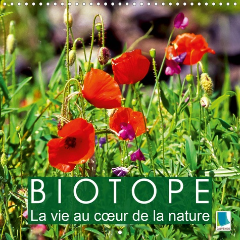 BIOTOPE - LA VIE AU COEUR DE LA NATURE (CALENDRIER MURAL 2020 300 * 300 MM SQUARE) - DIVERSITE DES H