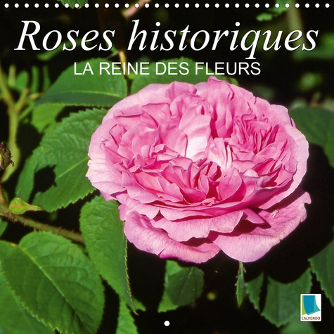 ROSES HISTORIQUES - LA REINE DES FLEURS (CALENDRIER MURAL 2020 300 * 300 MM SQUARE) - BEAUTE, SENTEU