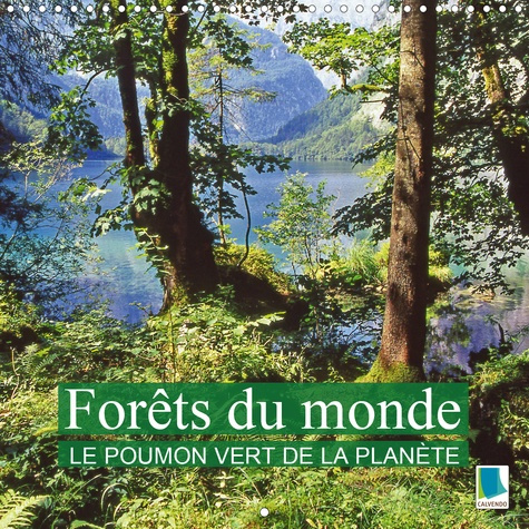 FORETS DU MONDE - LE POUMON VERT DE LA PLANETE (CALENDRIER MURAL 2020 300 * 300 MM SQUARE) - LA FORE