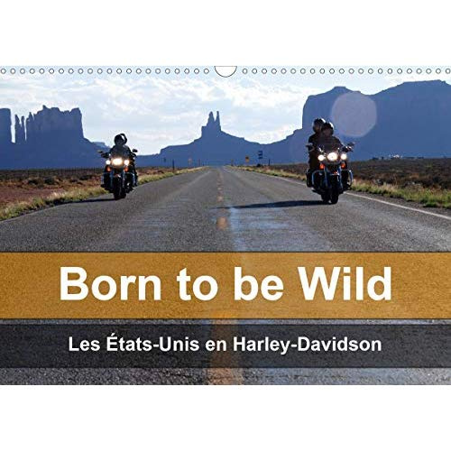 BORN TO BE WILD - LES ETATS-UNIS EN HARLEY-DAVIDSON (CALENDRIER MURAL 2020 DIN A3 HORIZONTAL) - LES