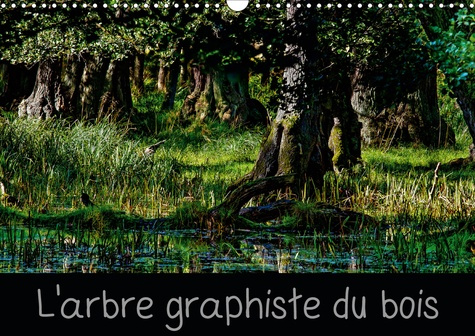 L'arbre graphiste du bois (Calendrier mural 2020 DIN A3 horizontal). L'arbre est le graphiste de la