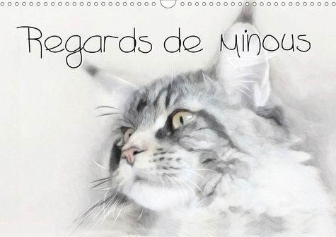 Regards de minous (Calendrier mural 2020 DIN A3 horizontal). Série de 12 portraits originaux réalisé