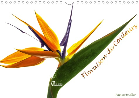 FLORAISON DE COULEURS (CALENDRIER MURAL 2020 DIN A4 HORIZONTAL) - LA FLORE NOUS EXPOSE LA DIVERSITE