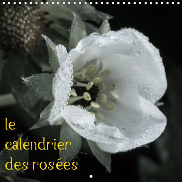 le calendrier des rosées (Calendrier mural 2020 300 × 300 mm Square). Photos d'une année de gouttes