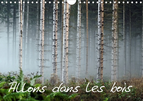 Allons dans les bois (Calendrier mural 2020 DIN A4 horizontal). La forêt au travers des saisons. (Ca