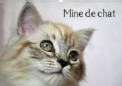 Mine de chat. Edition 2020