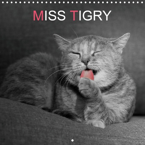MISS TIGRY (CALENDRIER MURAL 2020 300 * 300 MM SQUARE) - MISS TIGRY OU LA VIE D'UN CHAT (CALENDRIER