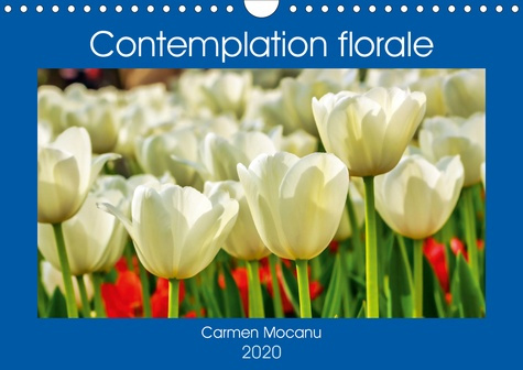 Contemplation florale (Calendrier mural 2020 DIN A4 horizontal). La contemplation d’une fleur est un