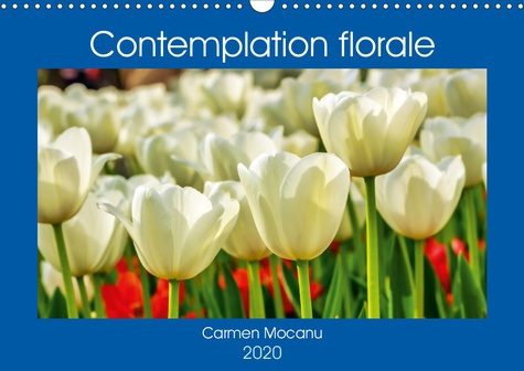 Contemplation florale. La contemplation d’une fleur est un des premiers gestes à faire pour comprend