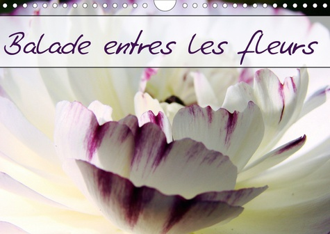 Balade entre les fleurs