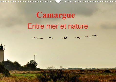 Camargue Entre mer et nature (Calendrier mural 2020 DIN A3 horizontal). Au cœur de la Camargue, entr