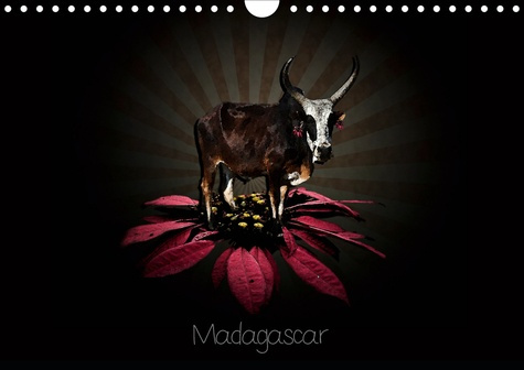 Madagascar. Photographies de Madagascar, Edition 2020