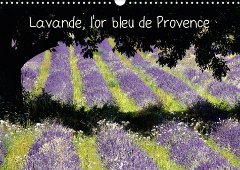 LAVANDE, L'OR BLEU DE PROVENCE (CALENDRIER MURAL 2020 DIN A3 HORIZONTAL) - LA LAVANDE, SYMBOLE DE LA