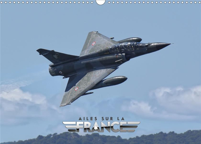 Ailes sur la France (Calendrier mural 2020 DIN A3 horizontal). Avions militaires et civils en démons