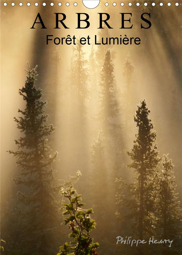 ARBRES. FORET ET LUMIERE (CALENDRIER MURAL 2020 DIN A4 VERTICAL) - DES ARBRES DANS TOUTE LEUR BEAUTE