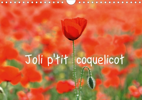 Joli p'tit coquelicot (Calendrier mural 2020 DIN A4 horizontal). Joli p'tit coquelicot, l'été n'est