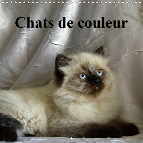 Chats de couleur. Edition 2020