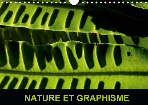 Nature et graphisme (Calendrier mural 2020 DIN A4 horizontal). Au cours de promenades dans la nature