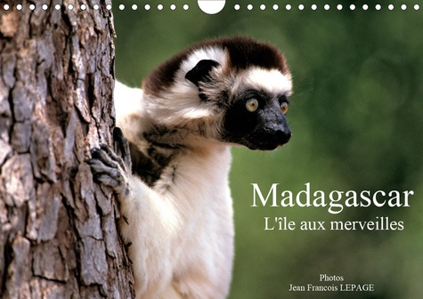 Madagascar L'île aux merveilles (Calendrier mural 2020 DIN A4 horizontal). Scènes de vie malgache (C