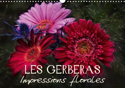 LES GERBERAS IMPRESSIONS FLORALES (CALENDRIER MURAL 2020 DIN A3 HORIZONTAL) - EGAYEZ VOTRE QUOTIDIEN