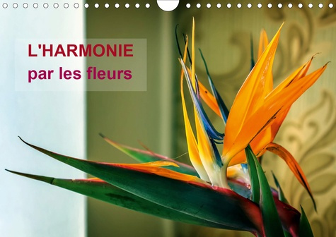 L'HARMONIE PAR LES FLEURS (CALENDRIER MURAL 2020 DIN A4 HORIZONTAL) - ARRETONS-NOUS UN INSTANT POUR