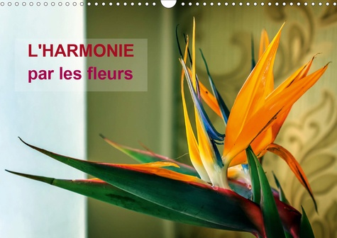 L'HARMONIE PAR LES FLEURS (CALENDRIER MURAL 2020 DIN A3 HORIZONTAL) - ARRETONS-NOUS UN INSTANT POUR