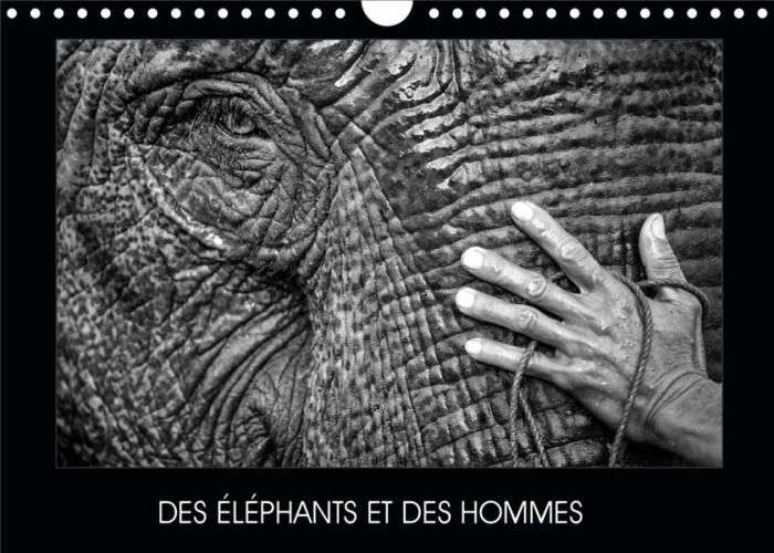 DES ELEPHANTS ET DES HOMMES (CALENDRIER MURAL 2020 DIN A4 HORIZONTAL) - LA RELATION ENTRE LES ELEPHA