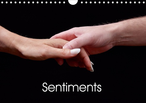 SENTIMENTS (CALENDRIER MURAL 2020 DIN A4 HORIZONTAL) - SERIE D'IMAGES DE MAINS RELATANT LE CONCEPT D