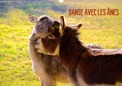 DANSE AVEC LES ÂNES (Calendrier mural 2020 DIN A3 horizontal). Les ânes d'Espanès de la région Midi-