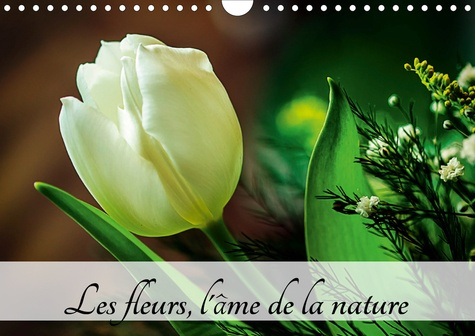 LES FLEURS, L'AME DE LA NATURE (CALENDRIER MURAL 2020 DIN A4 HORIZONTAL) - L'AME DE LA NATURE EST PA
