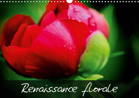 Renaissance florale ! (Calendrier mural 2020 DIN A3 horizontal). Embellissons notre vie en admirant