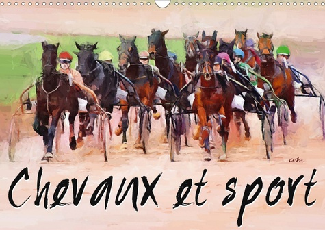 Chevaux et Sport (Calendrier mural 2020 DIN A3 horizontal). Série de 12 tableaux pour mettre en vale