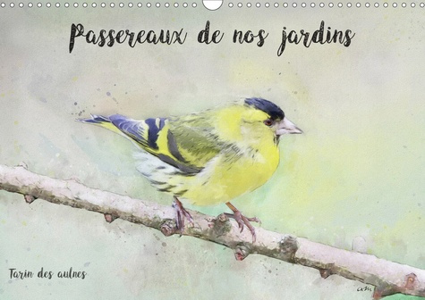 Passereaux de nos régions (Calendrier mural 2020 DIN A3 horizontal). Série de 12 tableaux originaux