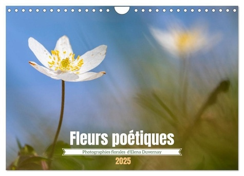 Fleurs poétiques (Calendrier mural 2025 DIN A4 vertical), CALVENDO calendrier mensuel. Photographies