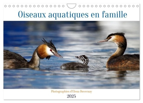 Oiseaux aquatiques en famille (Calendrier mural 2025 DIN A4 vertical), CALVENDO calendrier mensuel.