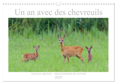 Un an avec des chevreuils (Calendrier mural 2025 DIN A3 vertical), CALVENDO calendrier mensuel. Phot