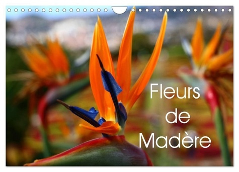Fleurs de Madère (Calendrier mural 2025 DIN A4 vertical), CALVENDO calendrier mensuel. Une sélection